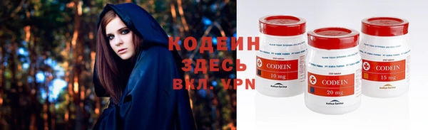 крисы Новодвинск
