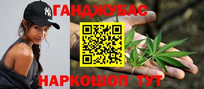 прущие грибы Анапа