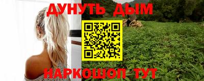 прущие грибы Анапа