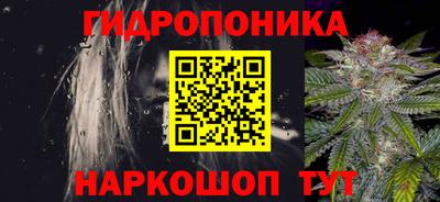 прущие грибы Анапа
